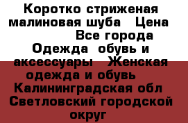 Коротко стриженая малиновая шуба › Цена ­ 10 000 - Все города Одежда, обувь и аксессуары » Женская одежда и обувь   . Калининградская обл.,Светловский городской округ 